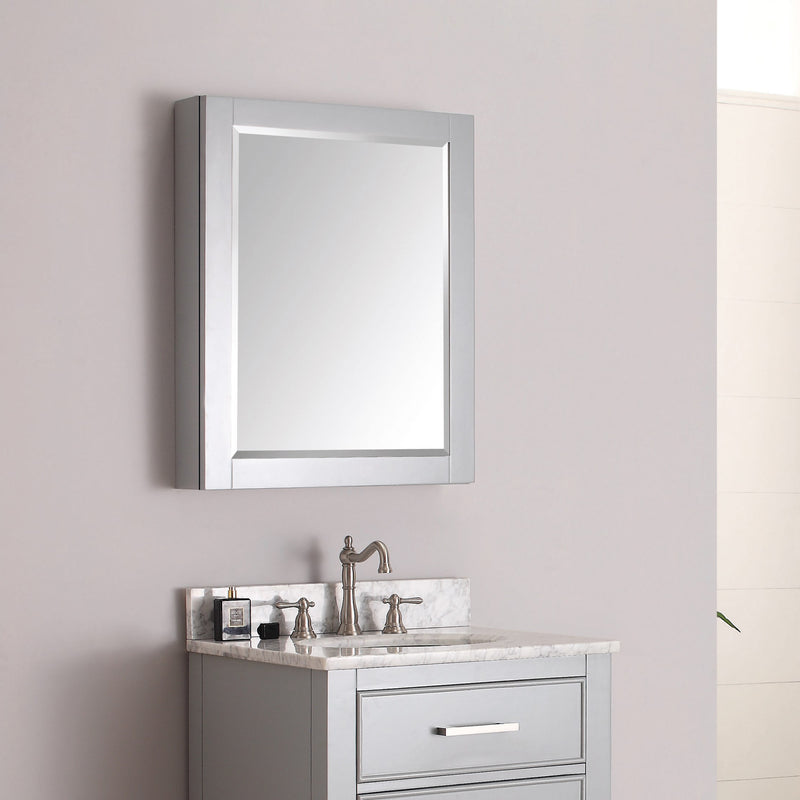 Avanity 24 inch Mirror Cabinet for Brooks / Modero 14000-MC24-CG