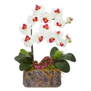 Nearly Natural Phalaenopsis Orchid Artificial Arrangement In Ceramic Vase