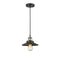 Railroad Mini Pendant shown in the Black Antique Brass finish with a Matte Black shade