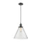 Cone Mini Pendant shown in the Oil Rubbed Bronze finish with a Seedy shade