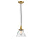 Innovations Lighting Cone 1 Light 8" Mini Pendant with Switch 201CSW-SG-G44