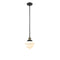 Oxford Mini Pendant shown in the Black Antique Brass finish with a Clear shade