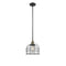 Bell Cage Mini Pendant shown in the Black Antique Brass finish with a Seedy shade