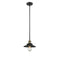 Railroad Mini Pendant shown in the Black Antique Brass finish with a Matte Black shade