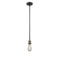 Bare Bulb Mini Pendant shown in the Black Antique Brass finish