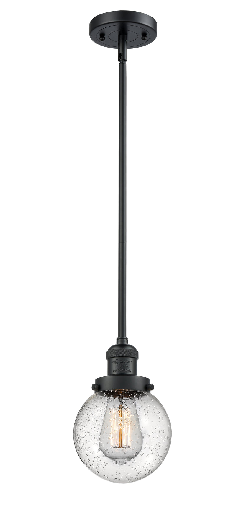 Innovations Lighting Beacon 1-100 watt 6 inch Black Mini Pendant with Seedy glass and Solid Brass Hang Straight Swivel 201SBKG2046