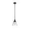 Cone Mini Pendant shown in the Matte Black finish with a Clear shade