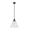 Cone Mini Pendant shown in the Matte Black finish with a Seedy shade