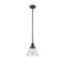 Cone Mini Pendant shown in the Matte Black finish with a Seedy shade