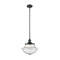 Oxford Mini Pendant shown in the Matte Black finish with a Seedy shade