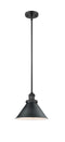 Innovations Lighting Briarcliff 1-100 watt 10 inch Matte Black Mini Pendant with Matte Black Briarcliff shades and Solid Brass Hang Straight Swivel 201SBKM10BK