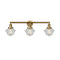 Oxford Bath Vanity Light shown in the Brushed Brass finish with a Seedy shade