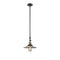 Halophane Mini Pendant shown in the Black Antique Brass finish with a Clear Halophane shade