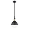 Hampden Mini Pendant shown in the Matte Black finish with a Clear shade