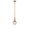 Oxford Mini Pendant shown in the Brushed Brass finish with a Seedy shade