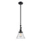 Cone Mini Pendant shown in the Matte Black finish with a Seedy shade