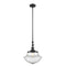 Oxford Mini Pendant shown in the Matte Black finish with a Seedy shade