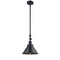 Briarcliff Mini Pendant shown in the Matte Black finish with a Matte Black shade