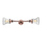 Bellmont Bath Vanity Light shown in the Antique Copper finish with a Seedy shade