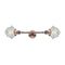 Oxford Bath Vanity Light shown in the Antique Copper finish with a Seedy shade