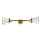 Bellmont Bath Vanity Light shown in the Brushed Brass finish with a Seedy shade