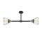 Innovations Lighting Fulton 2 Light 21" Island Light 209-BAB-G172