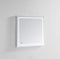 Aquadom 30" x 30" x 1.5" Daytona Wall Mount LED Lighted Mirror for Bathroom 3D Color Temperature Lights Cool or Warm Clock Defogger Dimmer