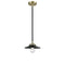 Railroad Mini Pendant shown in the Black Antique Brass finish with a Matte Black shade