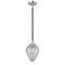 Geneseo Mini Pendant shown in the Black Polished Nickel finish with a Clear Crackled shade