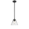 Cone Mini Pendant shown in the Oil Rubbed Bronze finish with a Clear shade