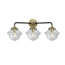 Oxford Bath Vanity Light shown in the Black Antique Brass finish with a Clear shade