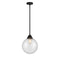 Beacon Mini Pendant shown in the Matte Black finish with a Seedy shade