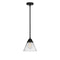 Cone Mini Pendant shown in the Matte Black finish with a Clear shade