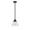 Cone Mini Pendant shown in the Matte Black finish with a Seedy shade