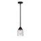 Bell Mini Pendant shown in the Matte Black finish with a Seedy shade