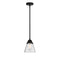 Cone Mini Pendant shown in the Matte Black finish with a Seedy shade