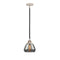 Fulton Mini Pendant shown in the Black Polished Nickel finish with a Plated Smoke shade