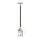 Canton Mini Pendant shown in the Black Polished Nickel finish with a Seedy shade