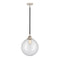 Beacon Mini Pendant shown in the Black Polished Nickel finish with a Clear shade