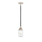 Dover Mini Pendant shown in the Black Polished Nickel finish with a Seedy shade