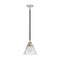 Cone Mini Pendant shown in the Black Polished Nickel finish with a Clear shade