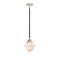 Oxford Mini Pendant shown in the Black Polished Nickel finish with a Matte White shade