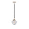 Oxford Mini Pendant shown in the Black Polished Nickel finish with a Seedy shade