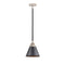 Appalachian Mini Pendant shown in the Black Polished Nickel finish with a Matte Black shade