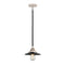 Railroad Mini Pendant shown in the Black Polished Nickel finish with a Matte Black shade