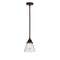 Cone Mini Pendant shown in the Oil Rubbed Bronze finish with a Seedy shade