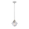 Oxford Mini Pendant shown in the Polished Chrome finish with a Clear shade