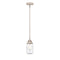 Dover Mini Pendant shown in the Polished Nickel finish with a Seedy shade