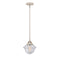 Oxford Mini Pendant shown in the Polished Nickel finish with a Seedy shade