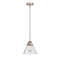 Cone Mini Pendant shown in the Brushed Satin Nickel finish with a Seedy shade